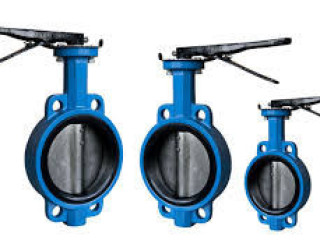 BUTTERFLY VALVES IN KOLKATA