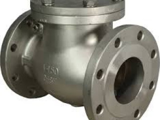 CHECK VALVES DEALERS IN KOLKATA