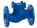 check-valves-suppliers-in-kolkata-small-0